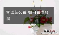 琴谱怎么看 如何看懂琴谱