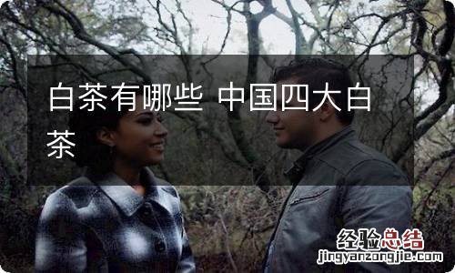 白茶有哪些 中国四大白茶