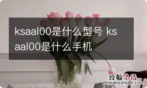 ksaal00是什么型号 ksaal00是什么手机