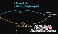 boersch效应 bohr效应是指