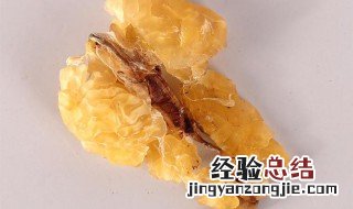 林蛙干的保存方法 林蛙干如何保存