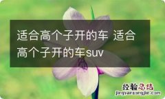 适合高个子开的车 适合高个子开的车suv