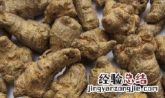 生三七和熟三七的区别是什么 生三七和熟三七的区别是啥