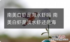 南美白虾是海水虾吗 南美白虾是淡水虾还是海水虾