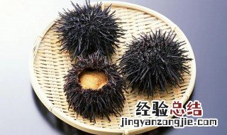 海胆可以直接冻上吗 海胆放急冻可以吗