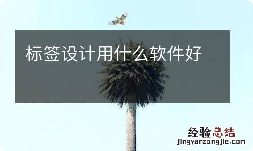 标签设计用什么软件好