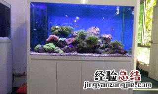 风水鱼缸的摆放有什么讲究 风水鱼缸的摆放禁忌
