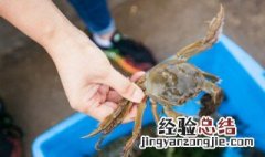 河蟹怎么保存不会死 河蟹死了能不能吃了