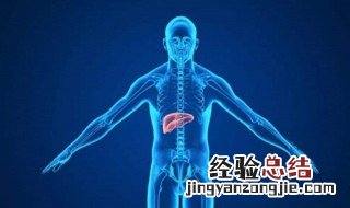 什么是五脏六腑 什么是五脏六腑?五脏六腑指的是身体的哪些部位?