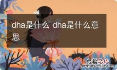 dha是什么 dha是什么意思