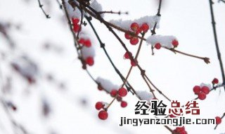 今年第一场雪说说怎么写 第一场雪来的说说