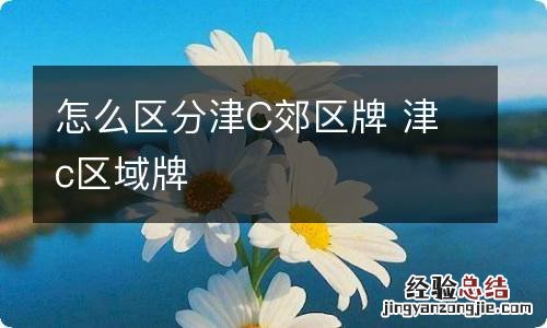 怎么区分津C郊区牌 津c区域牌