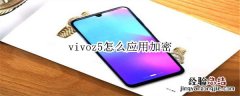 vivoz5怎么应用加密