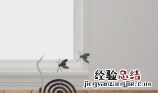 屋内有小飞虫根除的妙招 屋内有小飞虫根除的妙招视频