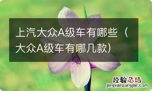 大众A级车有哪几款 上汽大众A级车有哪些