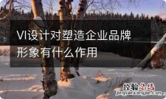 VI设计对塑造企业品牌形象有什么作用