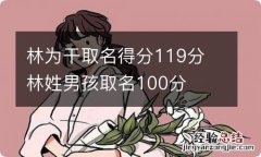 林为干取名得分119分 林姓男孩取名100分