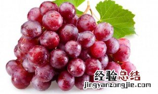 吃葡萄会长胖 吃葡萄会不会长胖