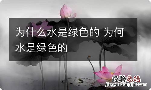 为什么水是绿色的 为何水是绿色的