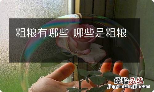 粗粮有哪些 哪些是粗粮
