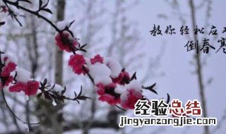 倒春寒冷出来的几种病需提前注意 倒春寒注意什么