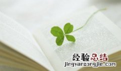 四叶草种子的保存及种植方法 四叶草的种子在哪里发现