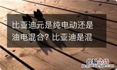 比亚迪元是纯电动还是油电混合? 比亚迪是混动还是纯电动