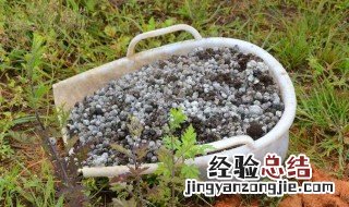 番薯糠如何做肥料 还可以用什么做肥料