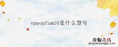 oppopcdm10是什么手机型号 oppopfum10是什么型号