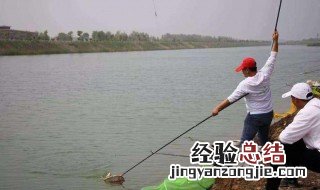怎么做钓鱼钓子 有什么制作的步骤