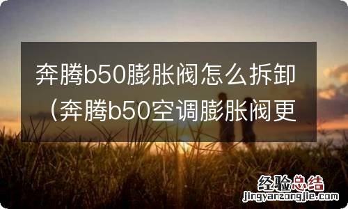 奔腾b50空调膨胀阀更换视频 奔腾b50膨胀阀怎么拆卸