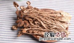 干的茶树姑保存方法 茶树姑怎么泡