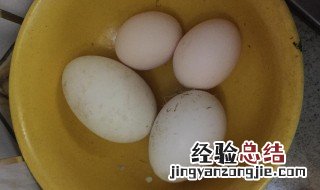 煮鹅蛋怎样去腥 水煮鹅蛋怎么去除腥味