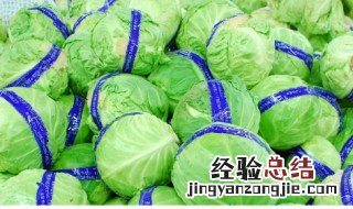 动森大头菜怎么保存 大头菜怎么保存