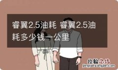 睿翼2.5油耗 睿翼2.5油耗多少钱一公里