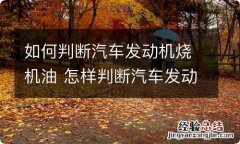 如何判断汽车发动机烧机油 怎样判断汽车发动机烧机油