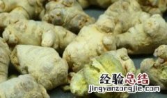 三七粉冷冻保存可以吗 新鲜三七能冷冻保存吗