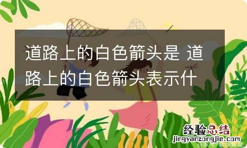 道路上的白色箭头是 道路上的白色箭头表示什么