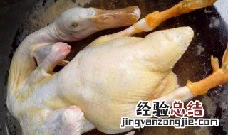 用手拔鸭毛技巧 手工拔鸭毛好方法
