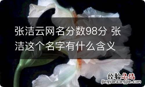 张洁云网名分数98分 张洁这个名字有什么含义