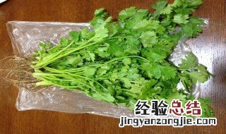 香菜保存方法 香菜保存方法塑料瓶