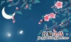 朱砂痣白月光经典文案 白月光与朱砂痣相关文案