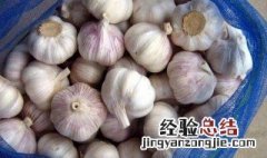 大蒜怎么保存不腐烂 大蒜保存不腐烂方法介绍