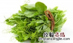 豆尖属于发物吗 豌豆尖是发物吗