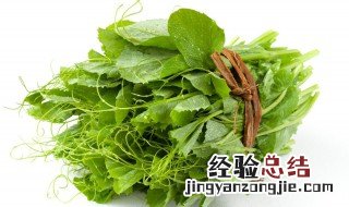 豆尖属于发物吗 豌豆尖是发物吗