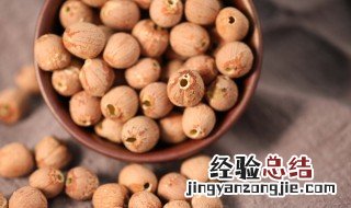 莲子发芽了怎么种植视频 莲子发芽了怎么种植