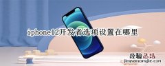 iphone12开发者选项设置在哪里 iphone11开发者选项设置在哪里