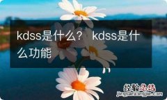 kdss是什么？ kdss是什么功能