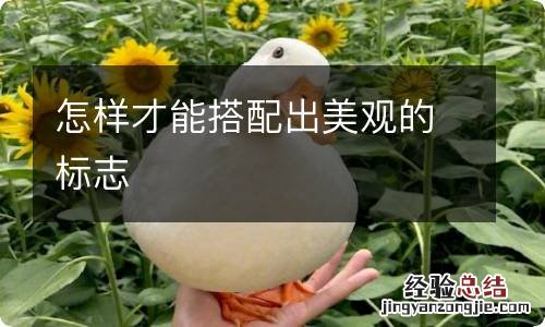 怎样才能搭配出美观的标志