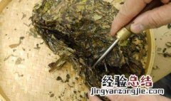 白茶饼如何保存方法 八饼白茶保存方法